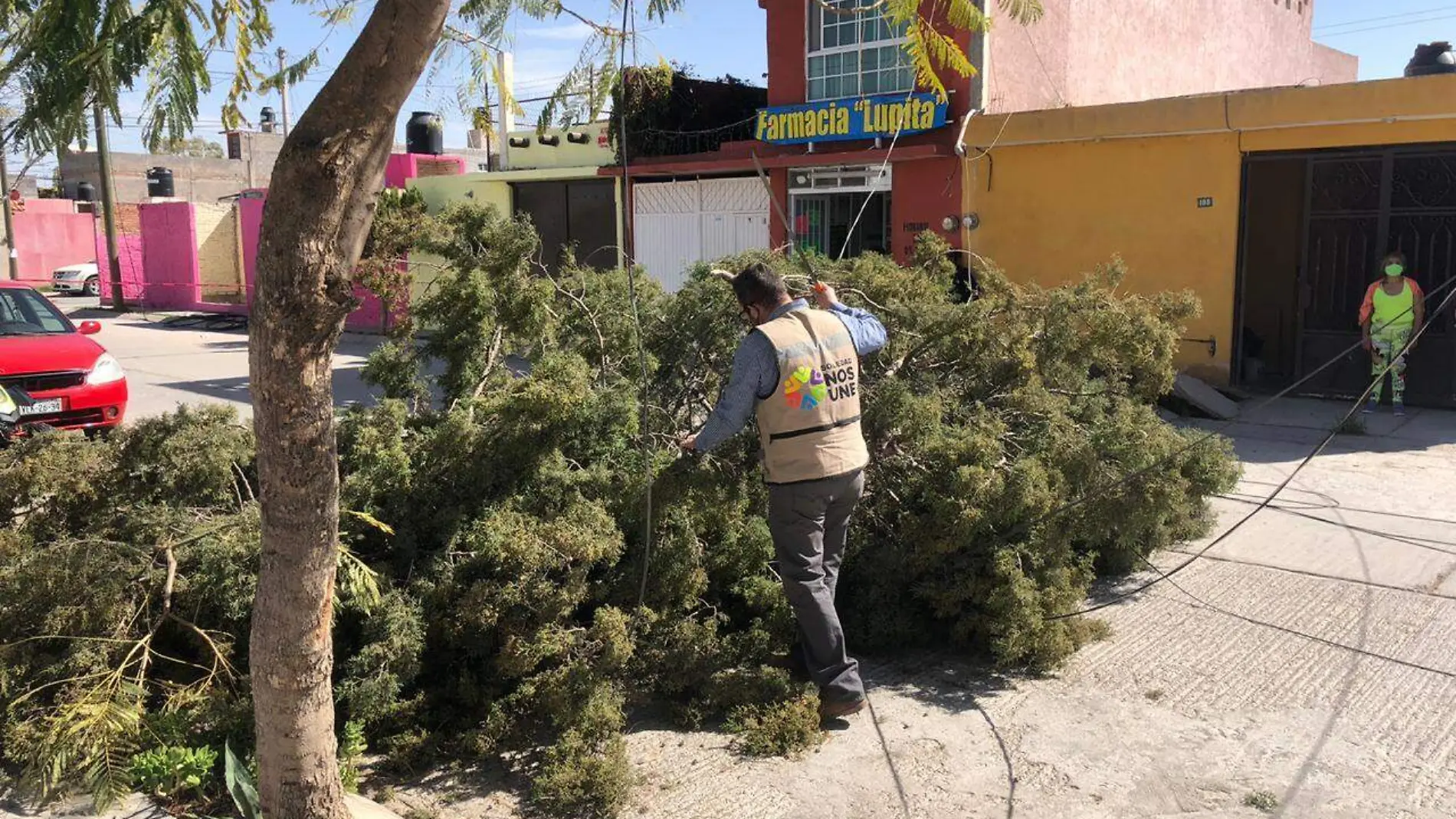 derriban arboles por fuertes vientos en Soledad 2